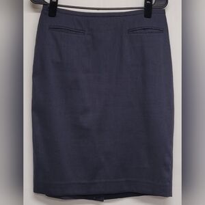 Ann Taylor 4 Blue Pinstriped Pencil Skirt Lined Hidden Side Zipper & Hook New